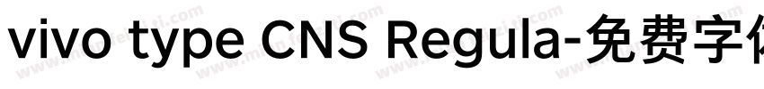 vivo type CNS Regula字体转换